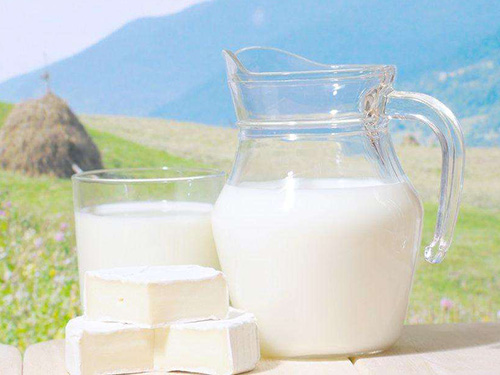 空腹喝奶的方法不科学